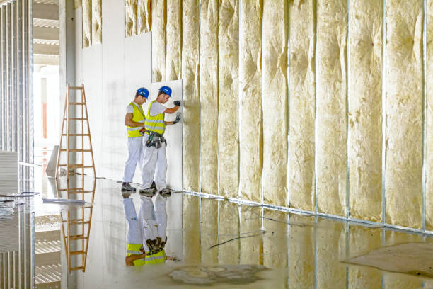 Best Basement Insulation  in Troy, PA